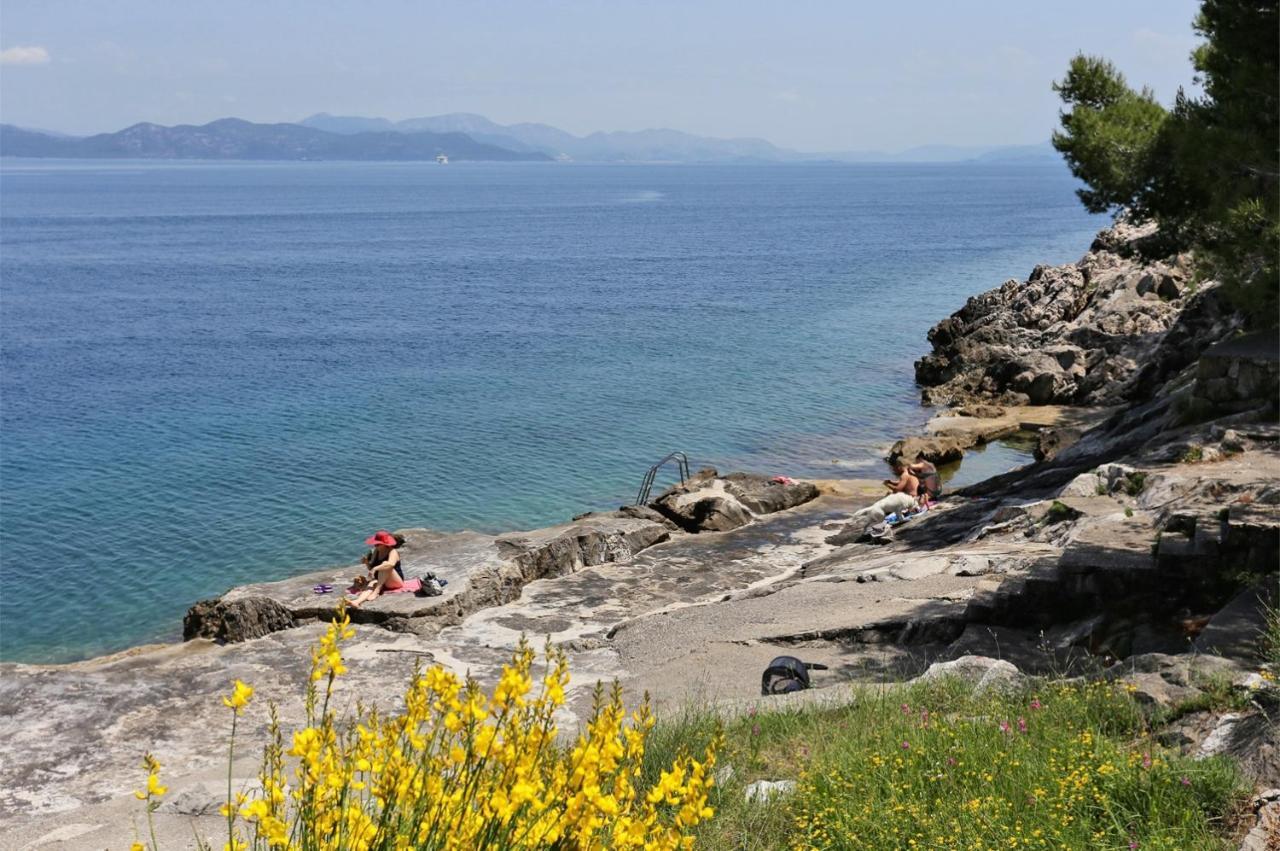 Apartments By The Sea Trpanj, Peljesac - 15995 Zewnętrze zdjęcie